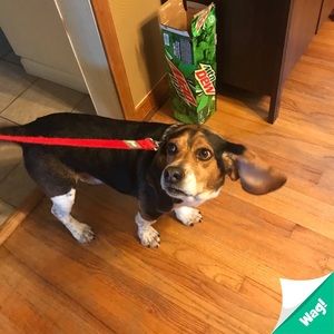 Meet your Posher, Patrick